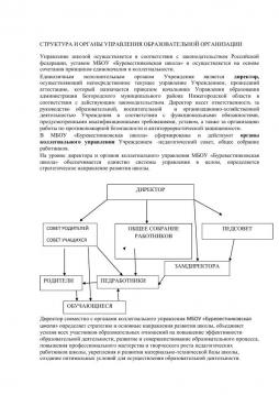 Структура и органы управления